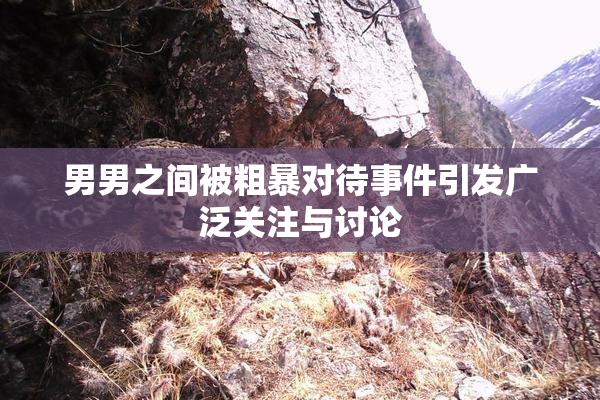 男男之间被粗暴对待事件引发广泛关注与讨论