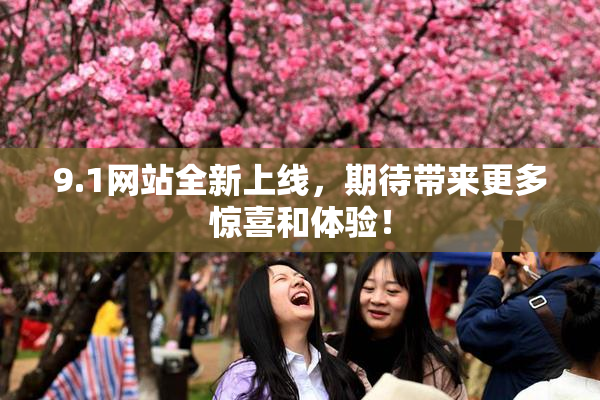 9.1网站全新上线，期待带来更多惊喜和体验！