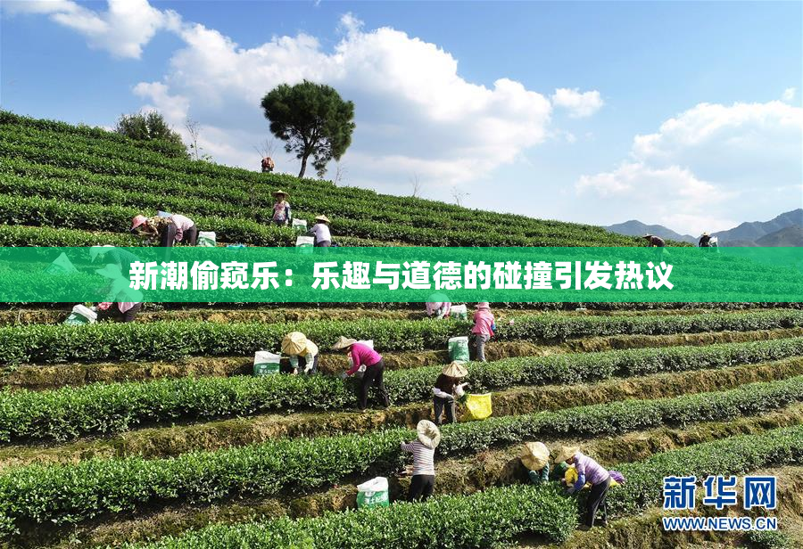 新潮偷窥乐：乐趣与道德的碰撞引发热议
