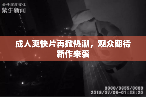 成人爽快片再掀热潮，观众期待新作来袭