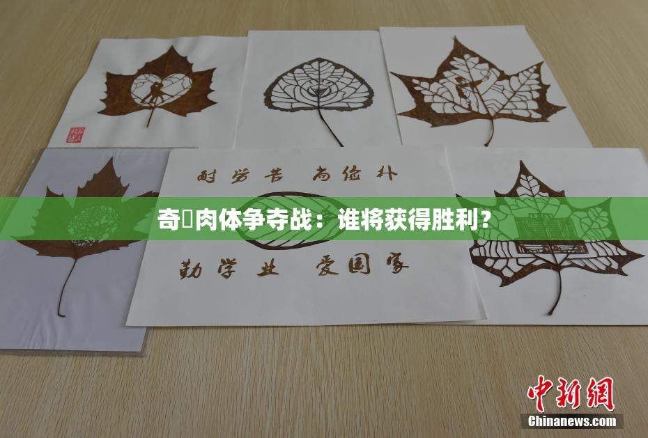 奇犽肉体争夺战：谁将获得胜利？