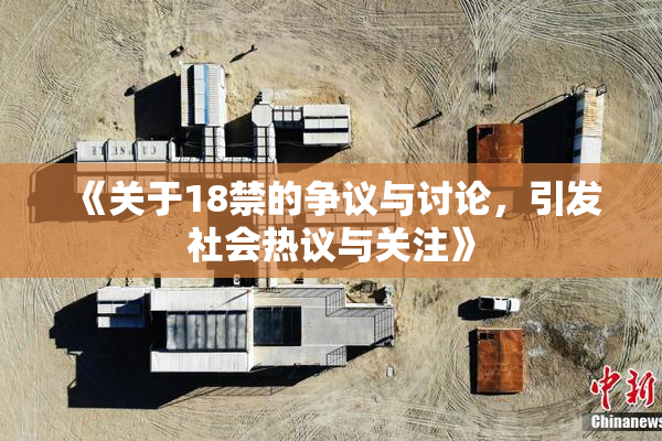 《关于18禁的争议与讨论，引发社会热议与关注》