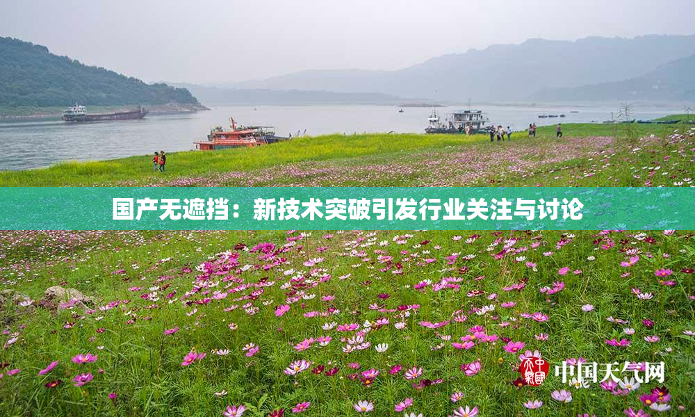 国产无遮挡：新技术突破引发行业关注与讨论