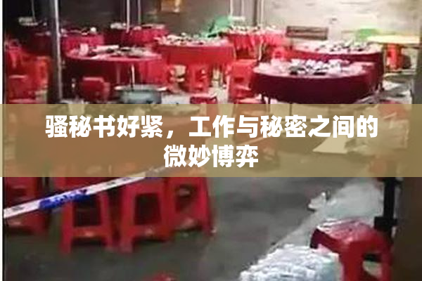 骚秘书好紧，工作与秘密之间的微妙博弈