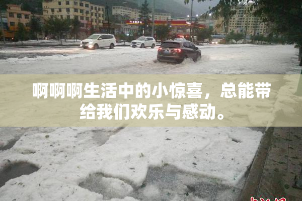 啊啊啊生活中的小惊喜，总能带给我们欢乐与感动。