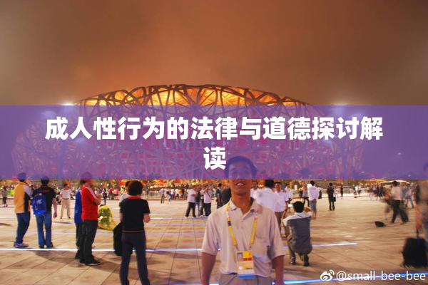 成人性行为的法律与道德探讨解读