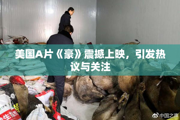 美国A片《豪》震撼上映，引发热议与关注