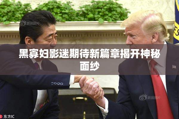 黑寡妇影迷期待新篇章揭开神秘面纱