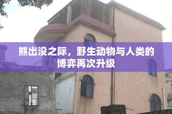 熊出没之际，野生动物与人类的博弈再次升级