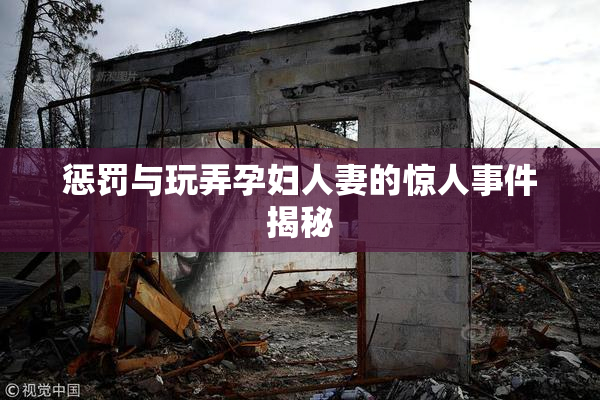 惩罚与玩弄孕妇人妻的惊人事件揭秘