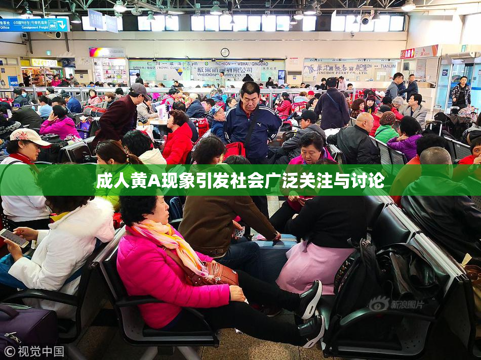 成人黄A现象引发社会广泛关注与讨论