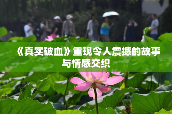 《真实破血》重现令人震撼的故事与情感交织