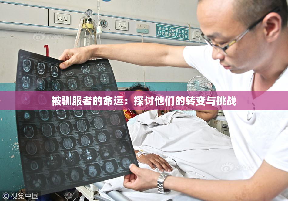 被驯服者的命运：探讨他们的转变与挑战