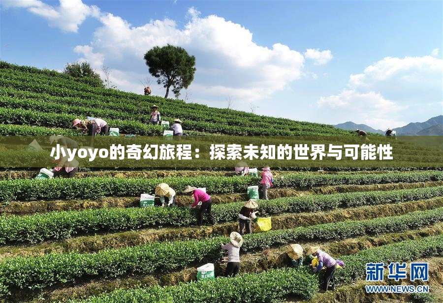小yoyo的奇幻旅程：探索未知的世界与可能性