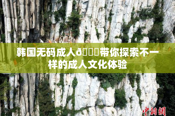 韩国无码成人🔞带你探索不一样的成人文化体验