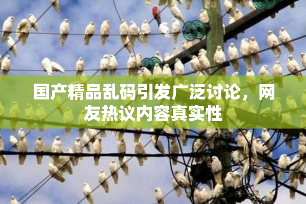 国产精品乱码引发广泛讨论，网友热议内容真实性