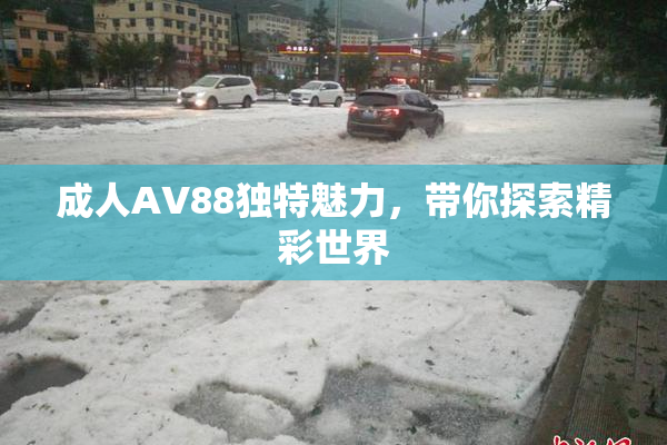 成人AV88独特魅力，带你探索精彩世界