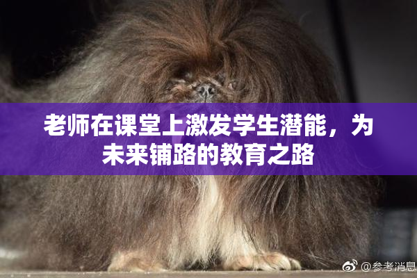 老师在课堂上激发学生潜能，为未来铺路的教育之路