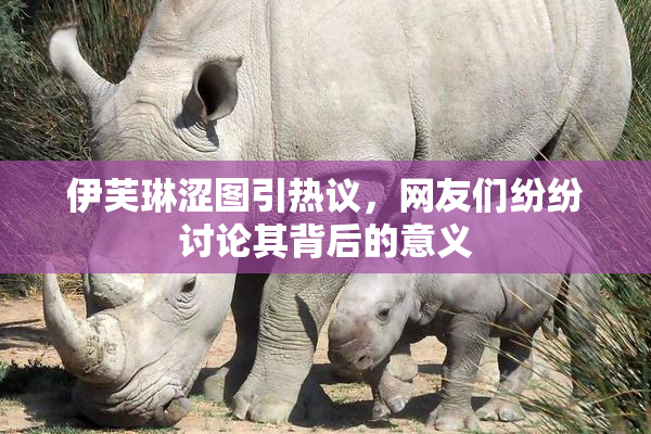 伊芙琳涩图引热议，网友们纷纷讨论其背后的意义