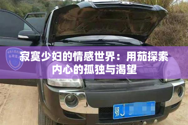 寂寞少妇的情感世界：用茄探索内心的孤独与渴望