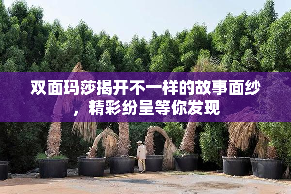 双面玛莎揭开不一样的故事面纱，精彩纷呈等你发现