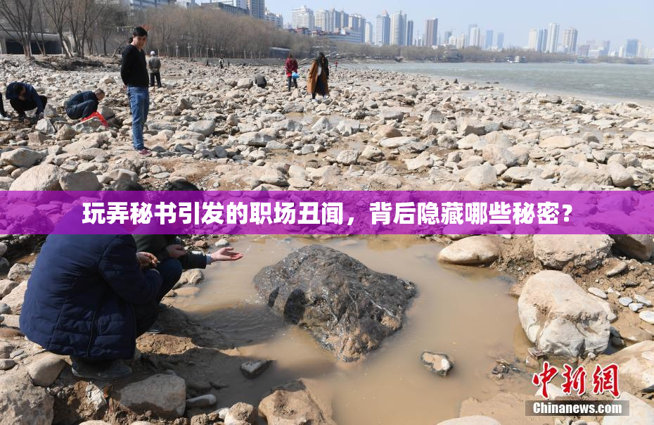 玩弄秘书引发的职场丑闻，背后隐藏哪些秘密？