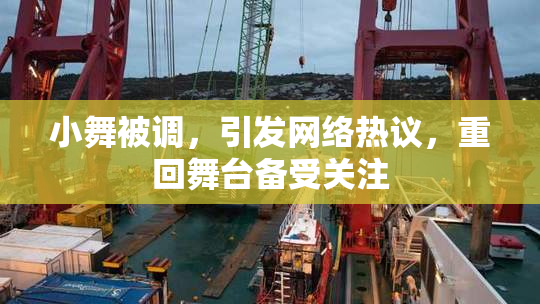 小舞被调，引发网络热议，重回舞台备受关注