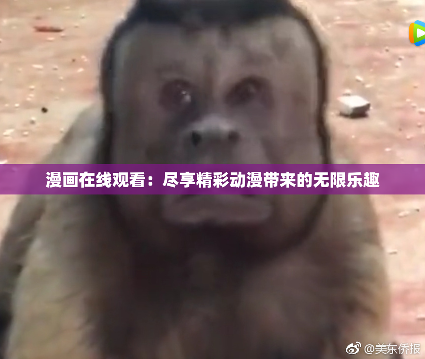 漫画在线观看：尽享精彩动漫带来的无限乐趣