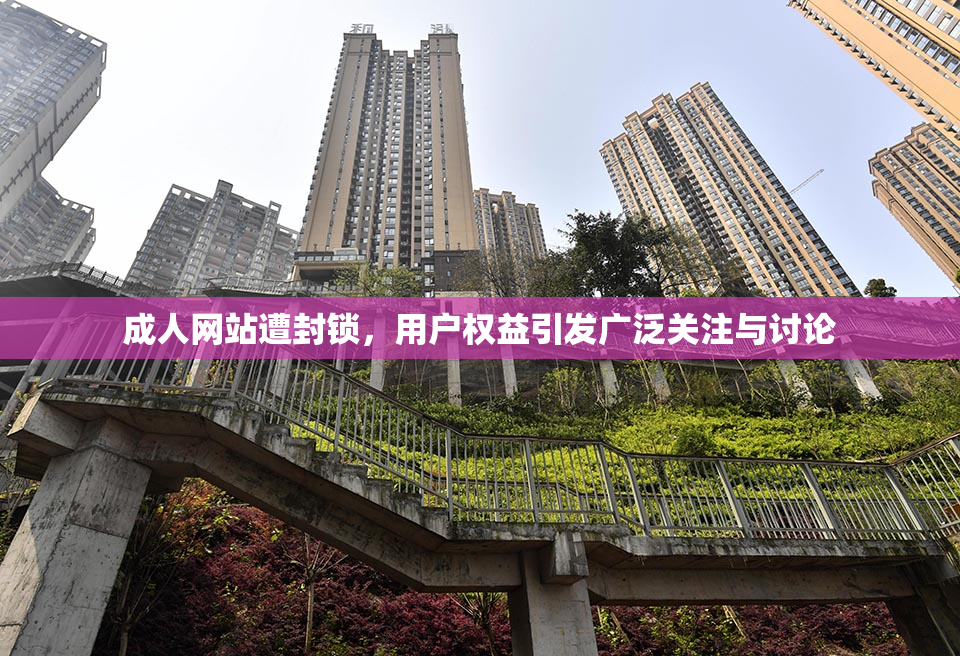 成人网站遭封锁，用户权益引发广泛关注与讨论