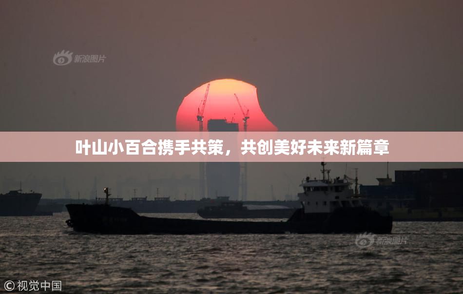 叶山小百合携手共策，共创美好未来新篇章