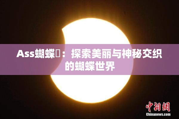 Ass蝴蝶泬：探索美丽与神秘交织的蝴蝶世界