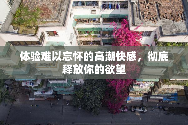 体验难以忘怀的高潮快感，彻底释放你的欲望