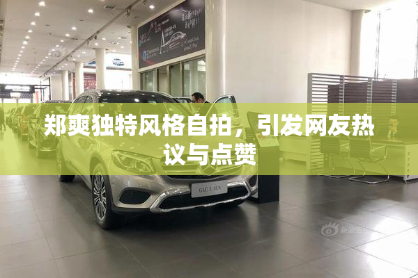 郑爽独特风格自拍，引发网友热议与点赞
