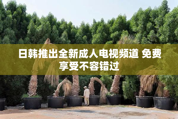 日韩推出全新成人电视频道 免费享受不容错过