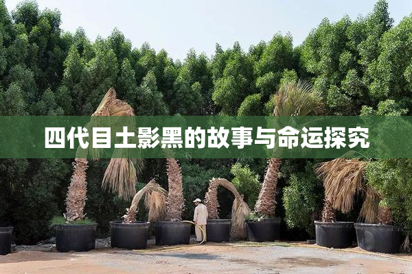 四代目土影黑的故事与命运探究