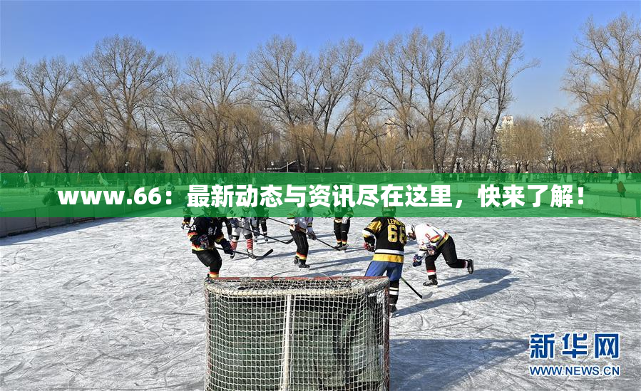 www.66：最新动态与资讯尽在这里，快来了解！