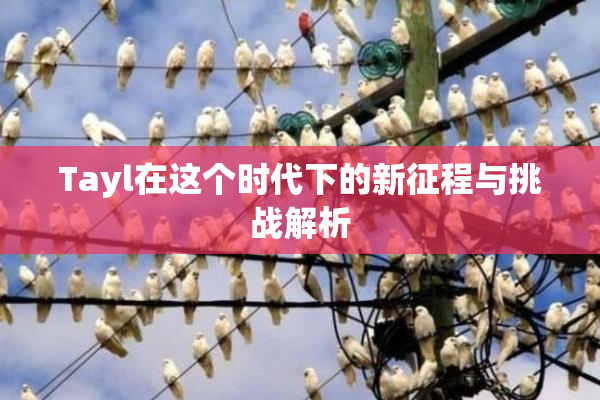 Tayl在这个时代下的新征程与挑战解析