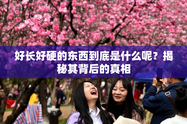 好长好硬的东西到底是什么呢？揭秘其背后的真相