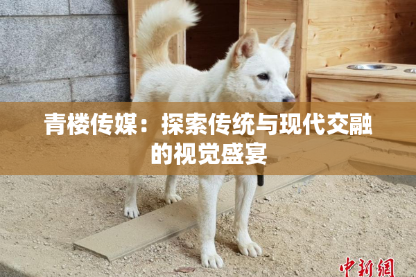 青楼传媒：探索传统与现代交融的视觉盛宴