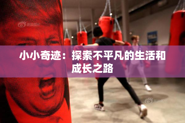 小小奇迹：探索不平凡的生活和成长之路