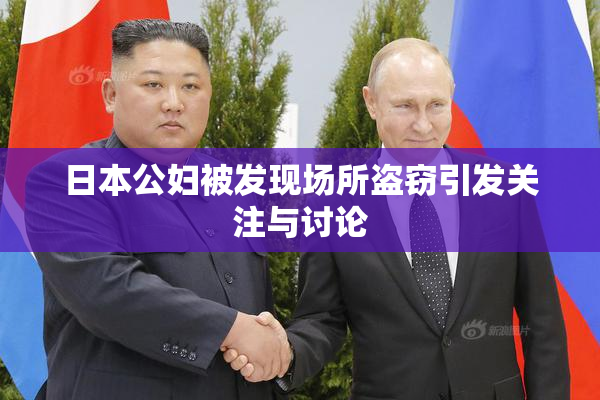 日本公妇被发现场所盗窃引发关注与讨论