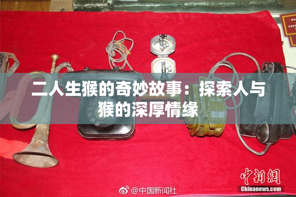 二人生猴的奇妙故事：探索人与猴的深厚情缘