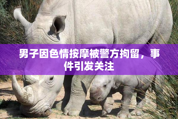 男子因色情按摩被警方拘留，事件引发关注