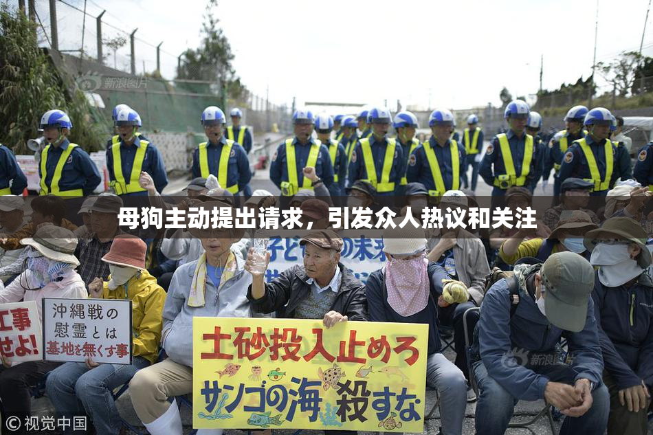 母狗主动提出请求，引发众人热议和关注