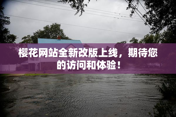 樱花网站全新改版上线，期待您的访问和体验！