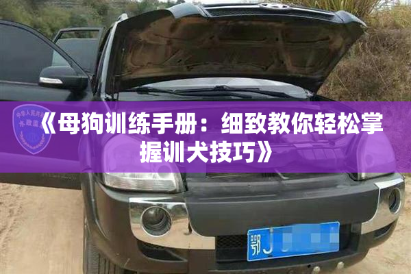 《母狗训练手册：细致教你轻松掌握训犬技巧》