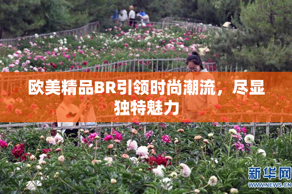 欧美精品BR引领时尚潮流，尽显独特魅力