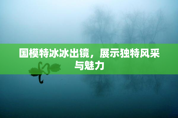 国模特冰冰出镜，展示独特风采与魅力