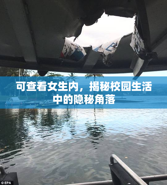 可查看女生内，揭秘校园生活中的隐秘角落