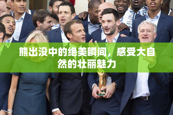 熊出没中的绝美瞬间，感受大自然的壮丽魅力